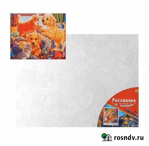 Новая картина рисование по номерам Петрозаводск - изображение 1