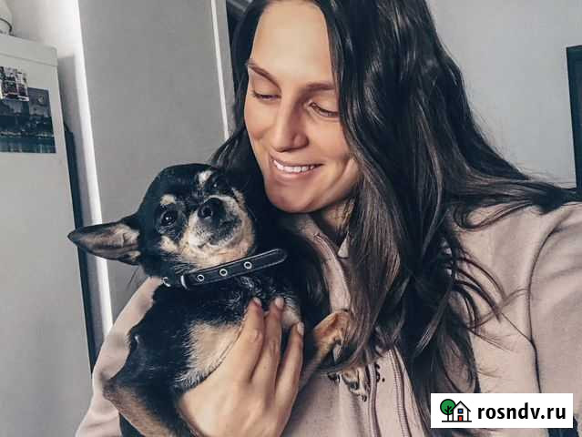 Догситтер/ Передержка собак Жулебино Москва - изображение 1