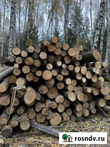 Лес кругляк липа Меленки - изображение 1