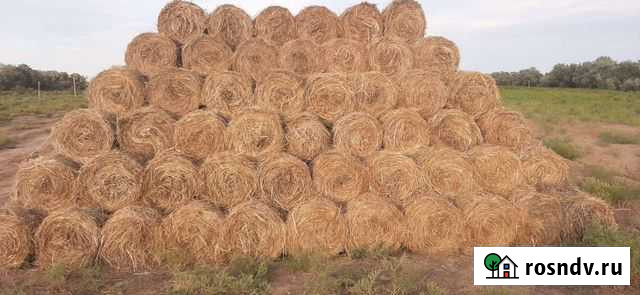 Сено в минирулонах Икряное - изображение 1