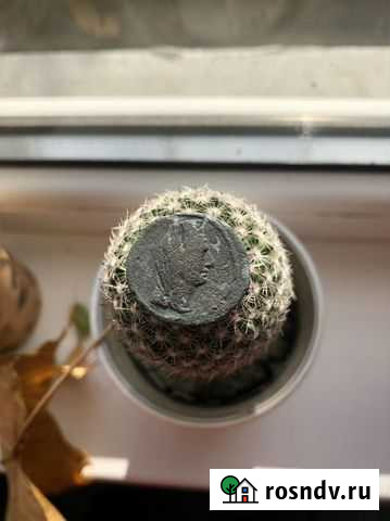 Монета Боспора Аспург Анапа - изображение 1