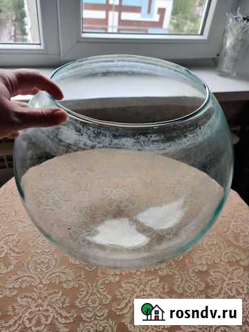 Аквариум Балаково - изображение 1