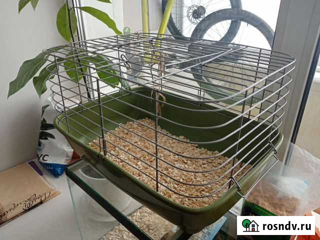 Клетка Хабаровск - изображение 1