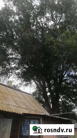 Спил деревьев, вывоз Солянка - изображение 1