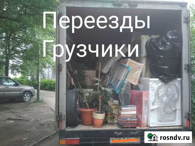 Переезды грузчики В Калининграде И области Пионерский - изображение 1