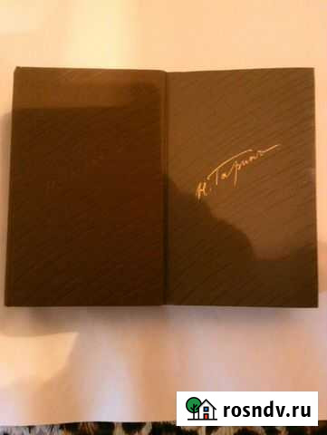 Гарин-Михайловский Саратов - изображение 1