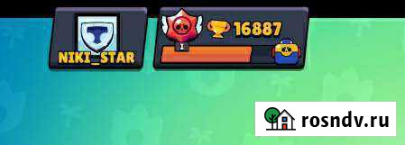 Тренер по бравл старс Саранск - изображение 1