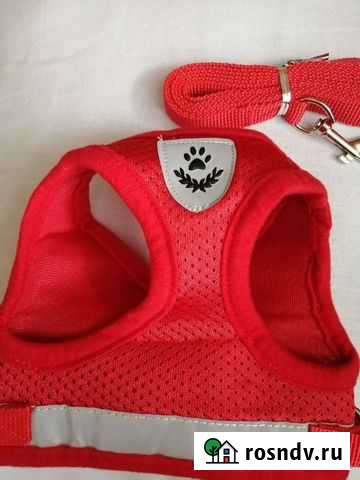 Шлейка для маленькой собаки Шилово - изображение 1