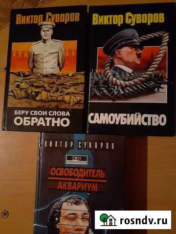 Виктор Суворов Каменск-Уральский - изображение 1