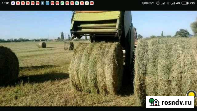 Сено Хомутово - изображение 1