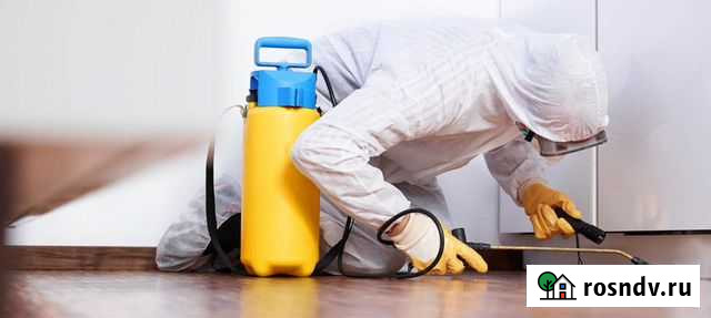 Уничтожение клопов,тараканов,крыс,плесени Челябинск - изображение 1