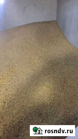 Овёс Черкесск - изображение 1