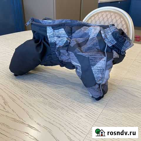 Комбинезон для собаки, зима, р-р М Петропавловск-Камчатский - изображение 1