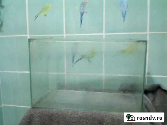 Аквариум Волгоград - изображение 1