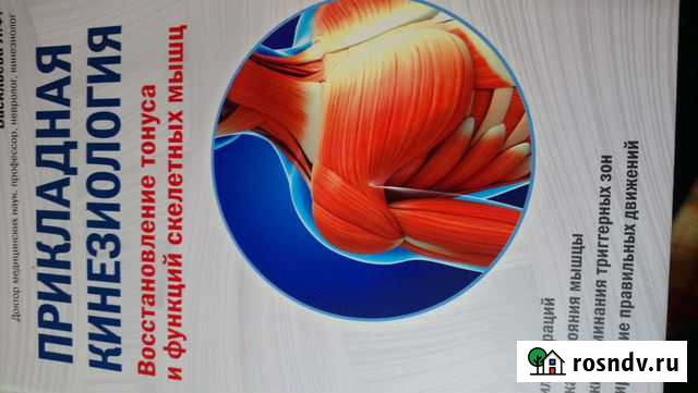 Услуги кинезиолога - массажиста Мурманск - изображение 1