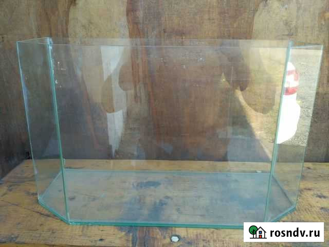 Аквариум Пермь - изображение 1