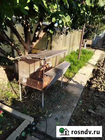 Клетка для кролика Волжский - изображение 1