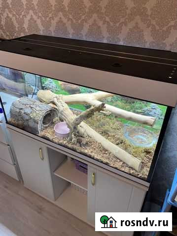 Террариум Кострома - изображение 1