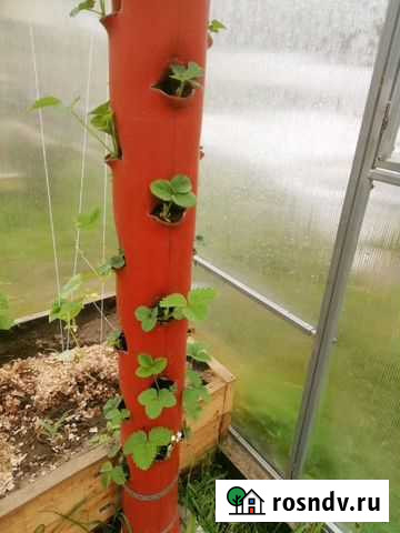 Вертикальные грядки Хабаровск - изображение 1