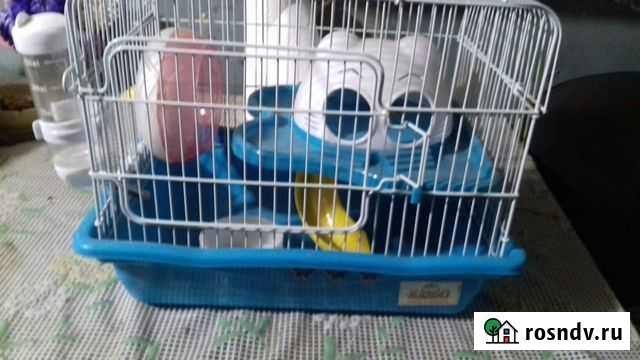 Клетка для грызунов Почеп - изображение 1