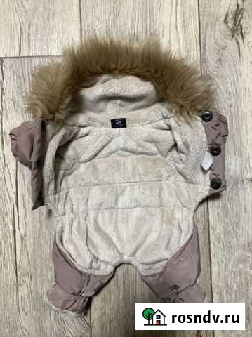 Зимняя курточка для собачки Йошкар-Ола - изображение 1