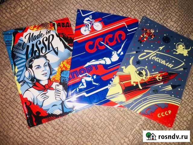 Обложка на паспорт Курск - изображение 1