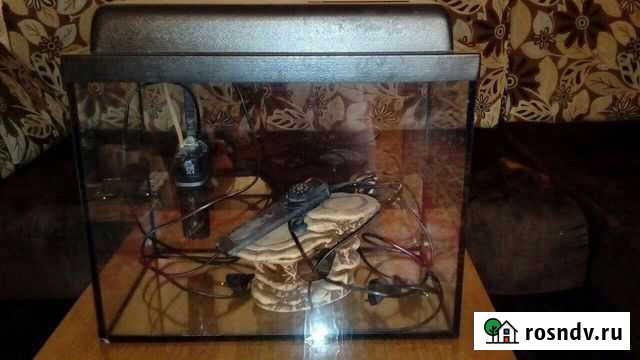 Аквариум Юрьев-Польский - изображение 1