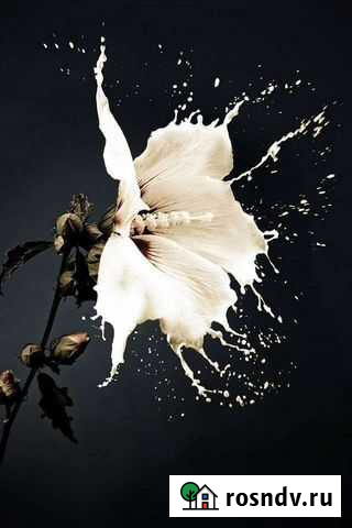 Таргетолог Тюмень - изображение 1