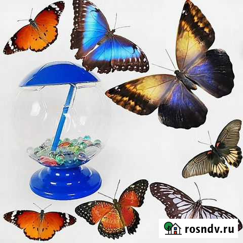 Ферма бабочек Славянск-на-Кубани - изображение 1