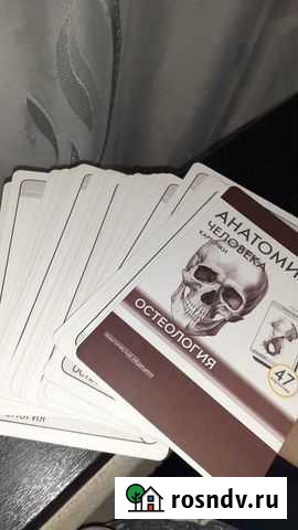 Карточки Сапина по остеологии Тверь - изображение 1