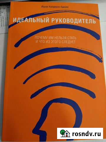 Ицхак Адизес - Идеальный руководитель Ярославль - изображение 1