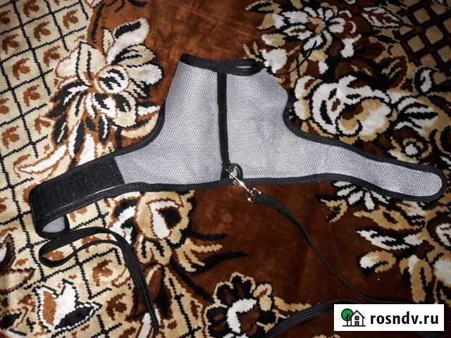 Шлейка и поводок для кролика Ноябрьск - изображение 1