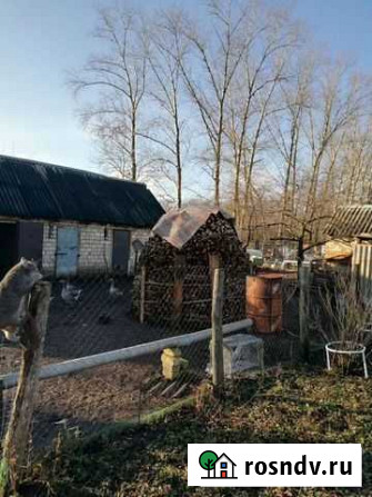 Дрова колотые Новосиль - изображение 1