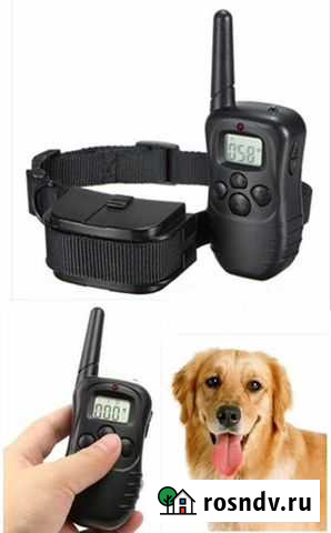 Антилай шокер с пультом Челябинск - изображение 1