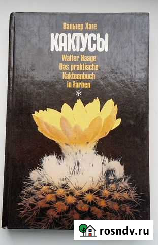 Кактусы Стерлитамак - изображение 1