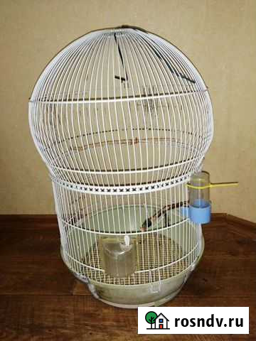 Клетка Нижнекамск - изображение 1