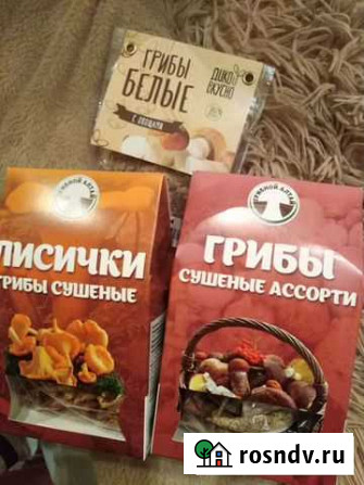 Белые, лисички, опята Ульяновск - изображение 1