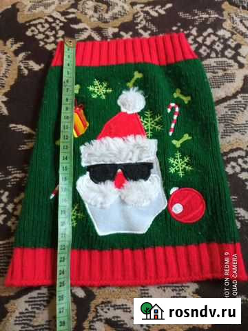 Свитер для маленькой собачки Липецк - изображение 1