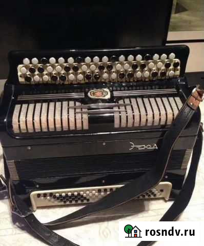 Баян Туймазы - изображение 1