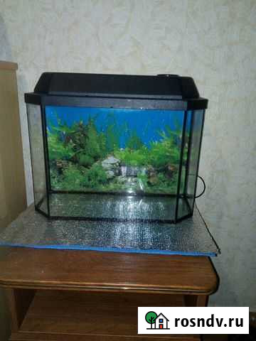 Аквариум Чапаевск - изображение 1