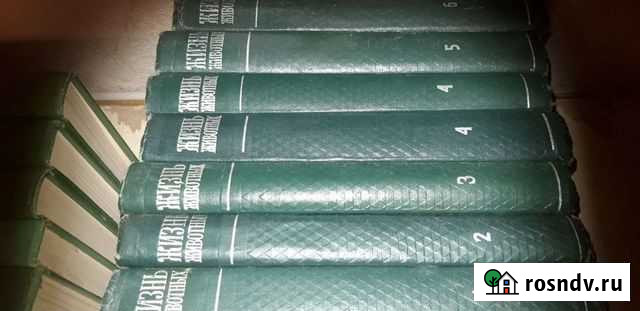 Энциклопедия Жизнь животных Калининград - изображение 1