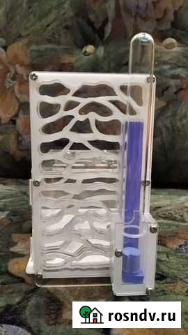 Формикарий (муравьиная ферма) Кирово-Чепецк - изображение 1