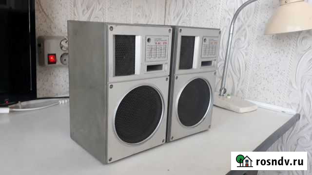 Акустическая система 25ас-202 Чульман - изображение 1