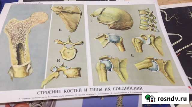 Наглядное пособие Иркутск - изображение 1