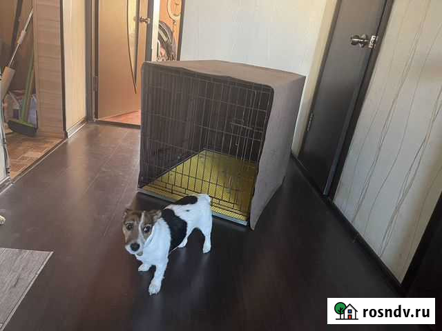 Вольер 90х65х70 Омск - изображение 1