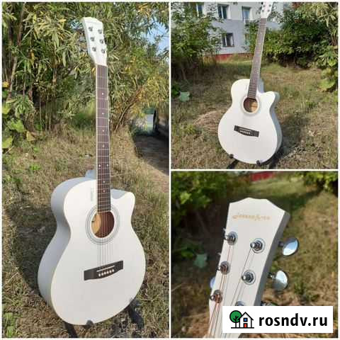 Гитара Пойковский - изображение 1