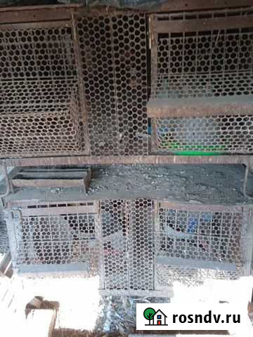 Клетка для нутрий Ахтырский - изображение 1