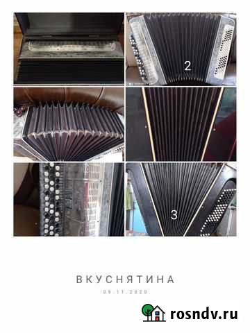 Баяны Починки - изображение 1