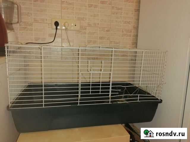 Клетка для кролика Тверь - изображение 1