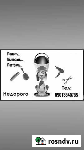 Стрижка собак и кошек Комсомольск - изображение 1